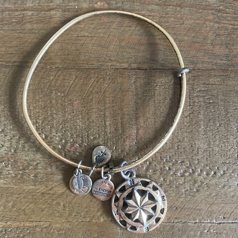 Alex and Ani gold compass